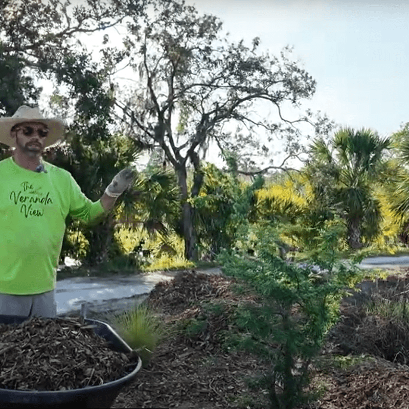 Bioswales Explained: How Landscapes Protect Our&nbsp;Waterways